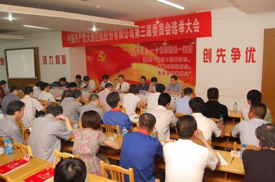 2011年，中共大乐体育官方网站（中国）有限公司第三届委员会第一次会议召开
